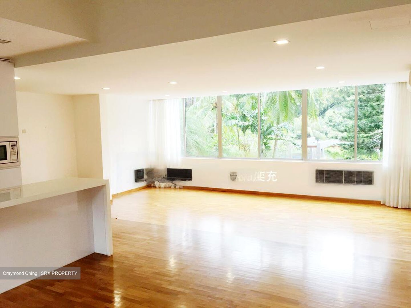 Nassim Regency (D10), Condominium #575337241
